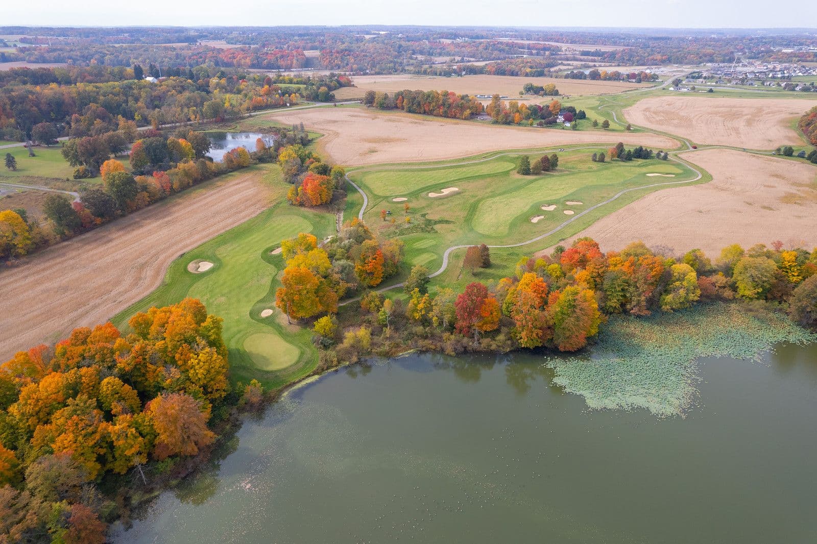 Image by eDI Imaging